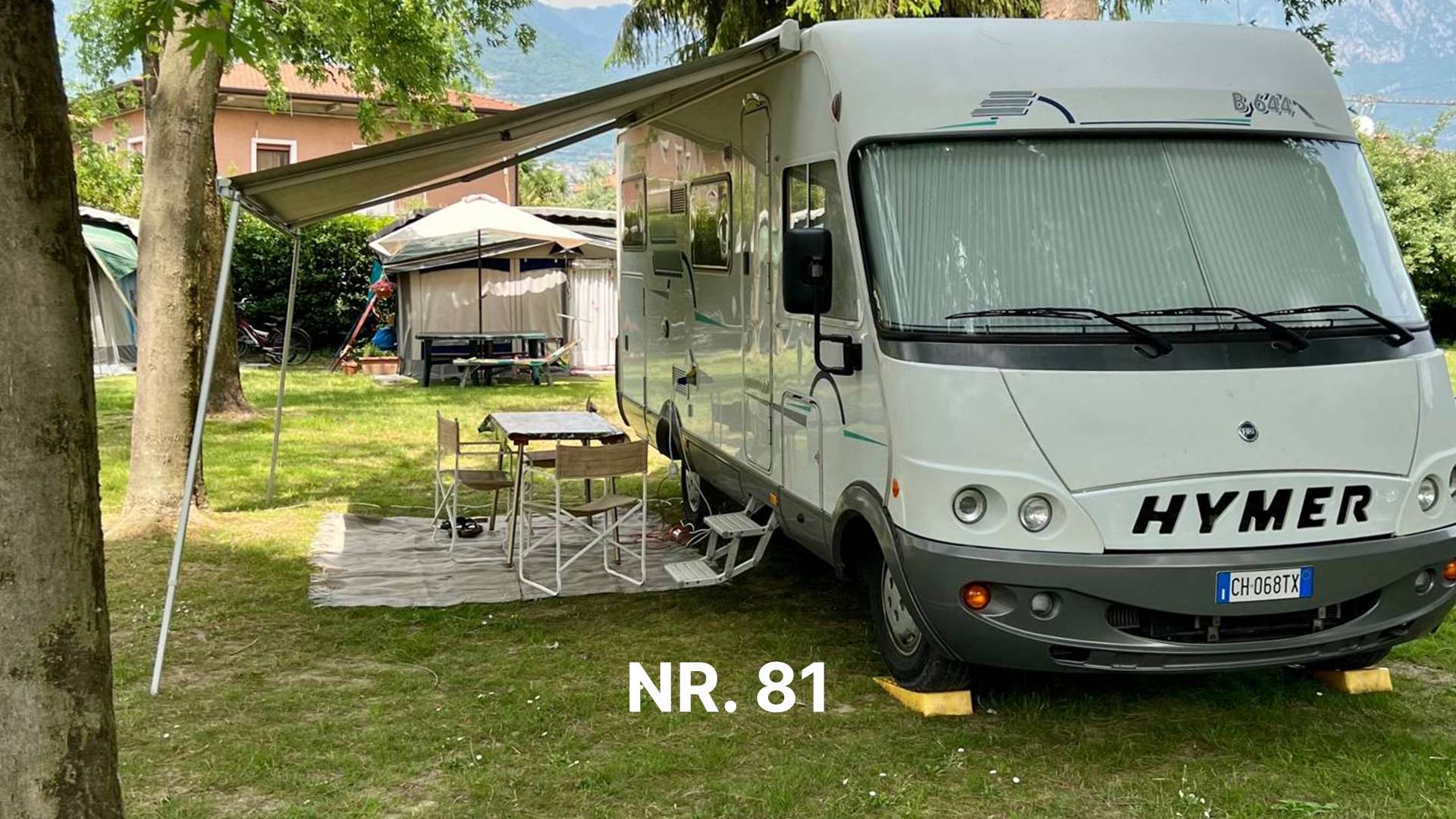 81